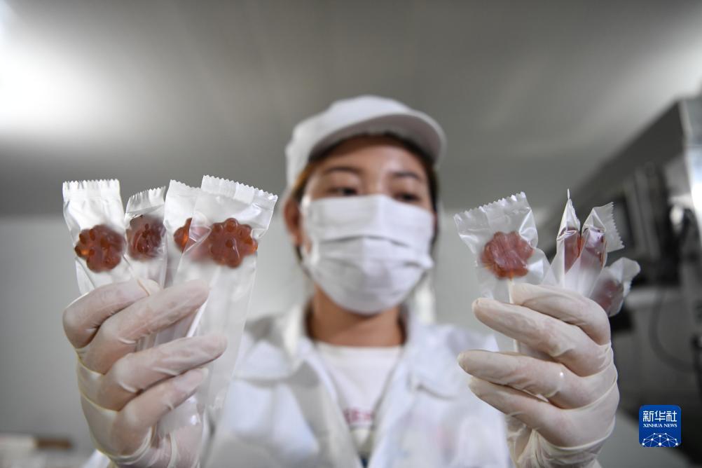 免费送彩金官方网站